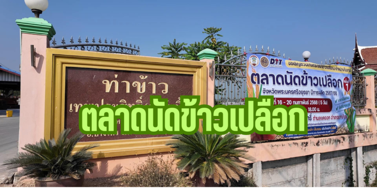 เปิดตลาดนัดรับซื้อข้าวเปลือก